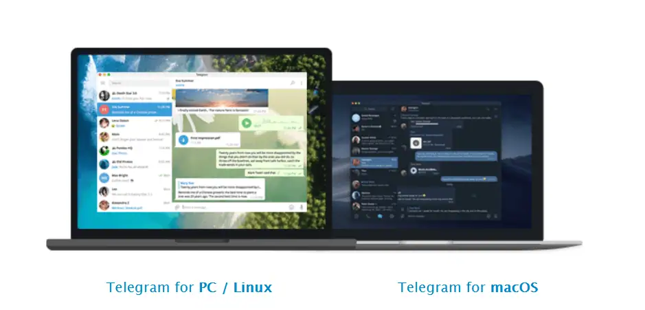 コンピュータ画面に表示されたTelegramのチャットウィンドウ、PCとmacOS向けのTelegramアプリのスクリーンショット。オンラインコミュニケーションやメッセージングツールのイメージ。.